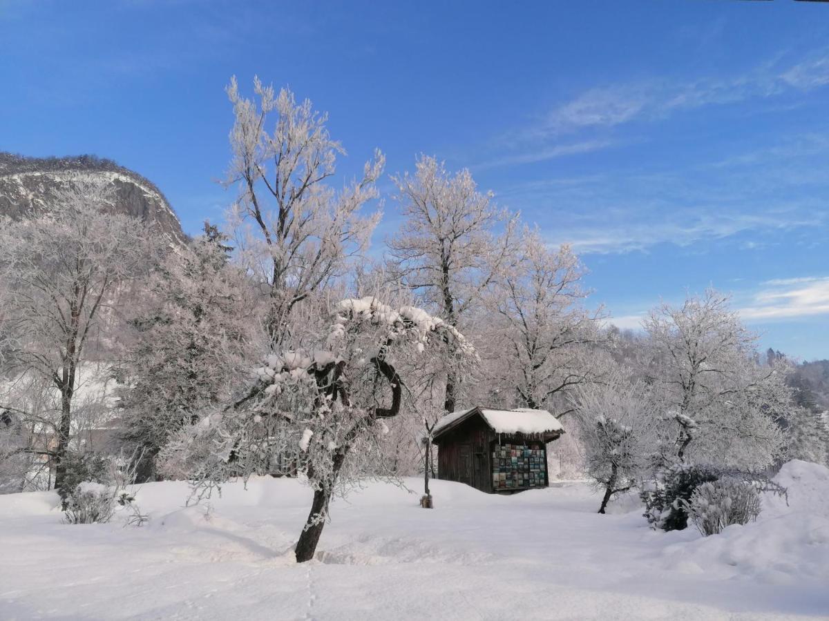 Apartma In Sobe Pr'Objan Bohinj Exterior photo
